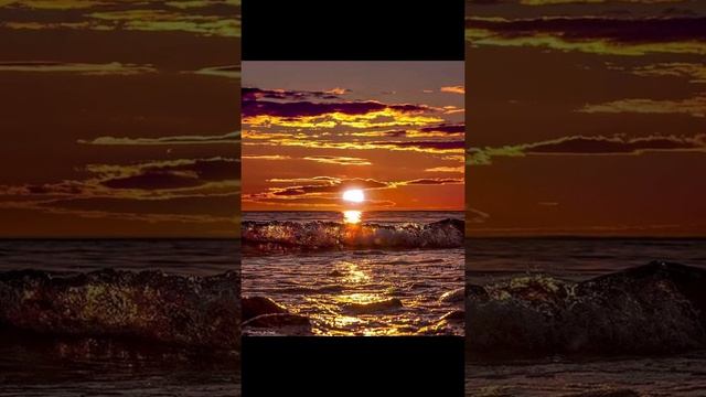 Последний закат | IceDog