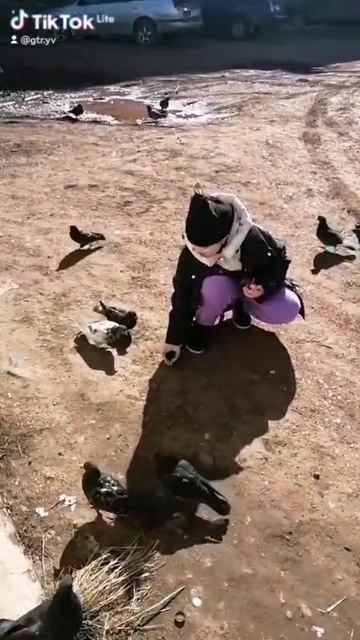 VID-20250430-WA0023.mp4