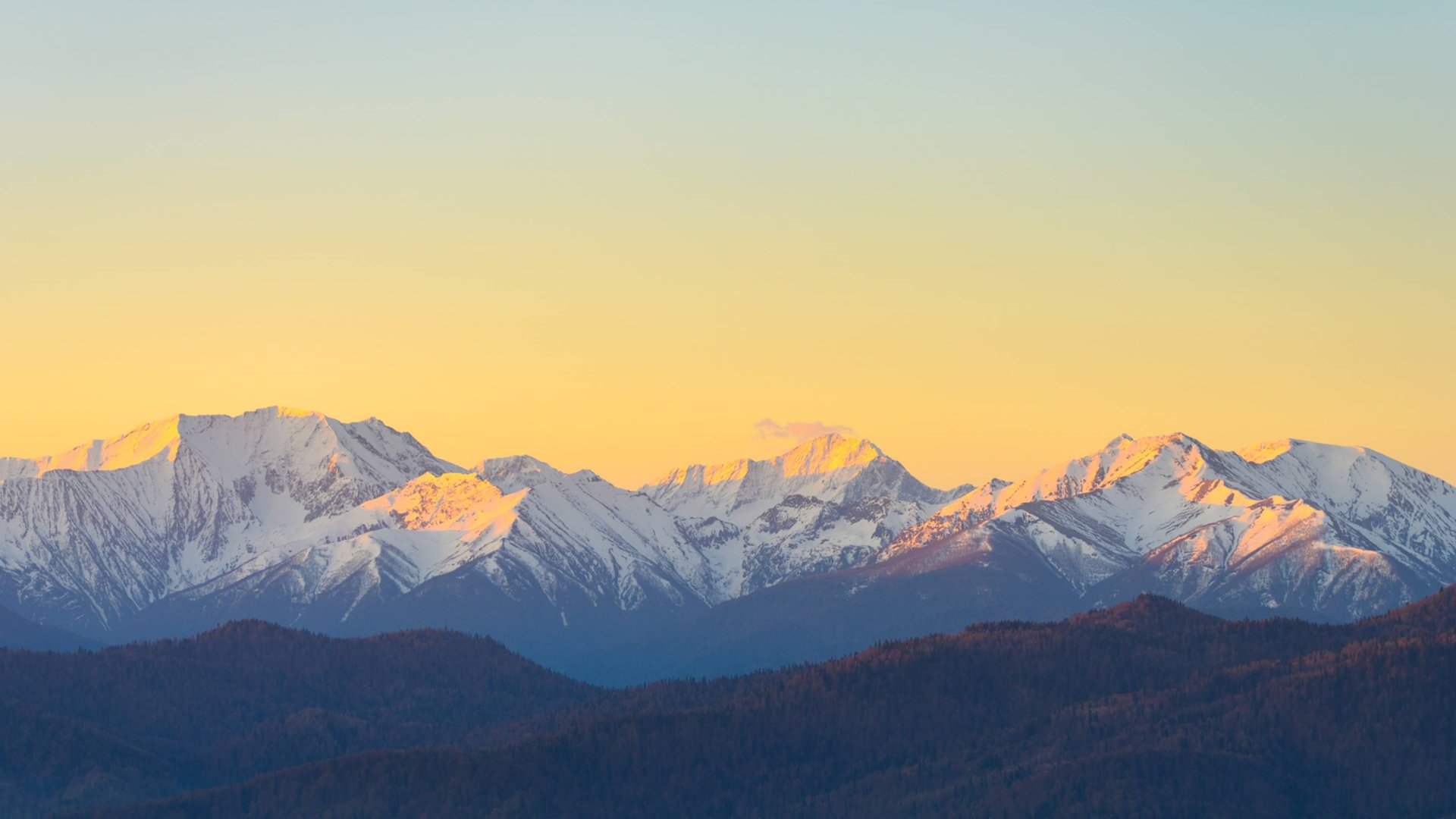 E070a060e988d8b16a66d6780e262c24