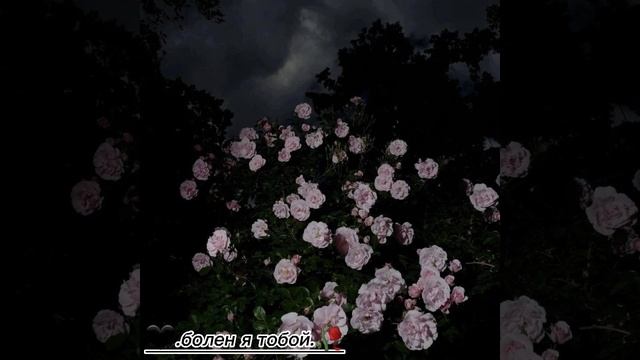 Ca057a8fddc597ad9c556004fd6016cf