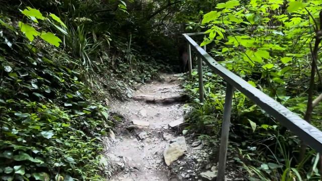 VLOG | Прометей | Роза Хутор | Агурские водопады | Воронцовские пещеры | Альпаки | прогулки,цены