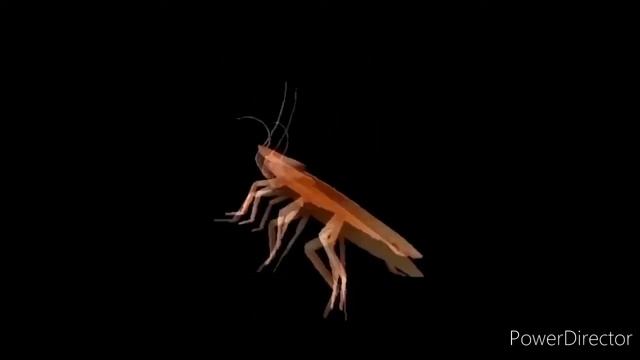 Таракан танцует под песню «Татарстан супер гуд»