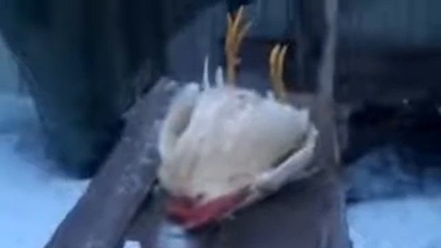 Полный Ржач!! Петя умер