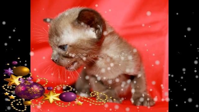 563ecfbc1b886196fc362b4d157b3903