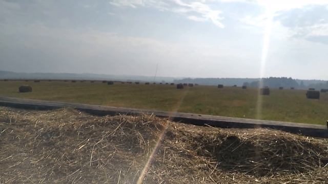 Горят леса дышать тяжело Слаживаем быстро сено на мтз 82