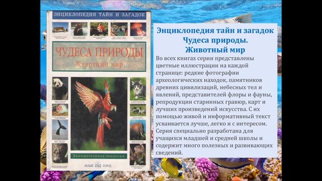 Виртуальная выставка «Обитатели морских глубин»