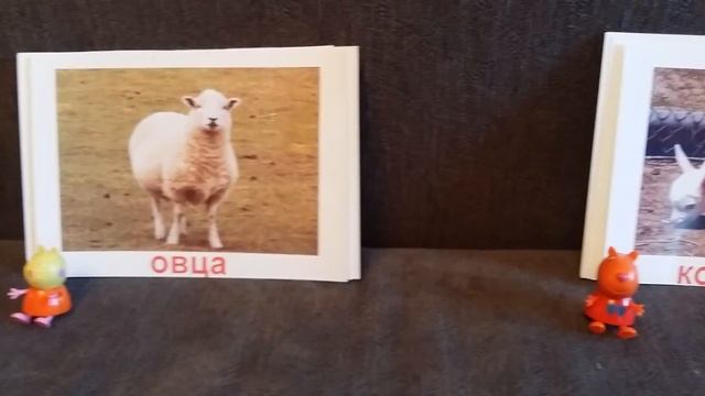 E990292e718954dcadaa51583d6d3d14