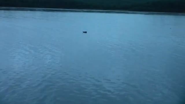 мельница 2017г.