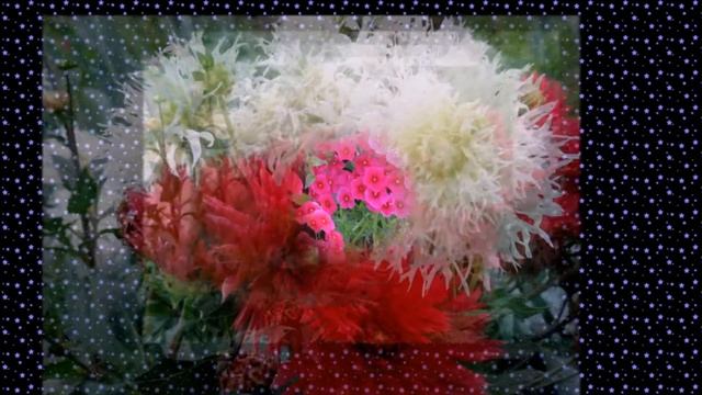 П.И.Чайковский - Вальс цветов - Tchaikovsky - Waltz Of The Flowers