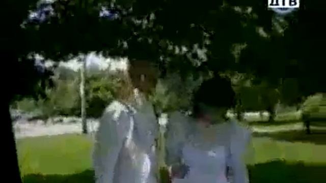 Смешные коты самое смешное видео приколисты онлайн