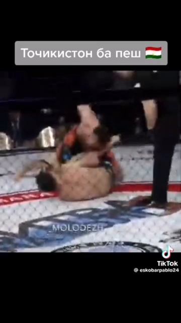 597d0fd39825ead3fd1bfb698206edc6