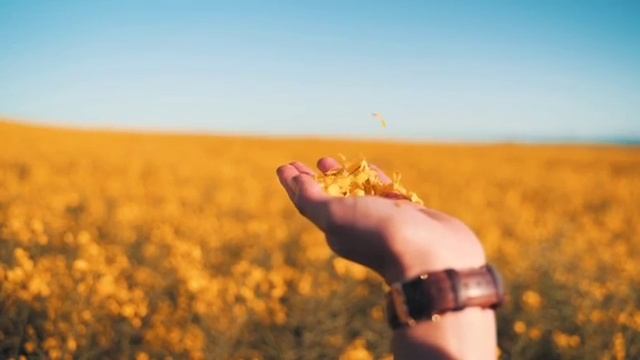 Моя любимая Весна