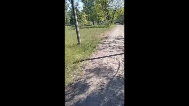 5f74b81a44f93a97db12e464e8fc817d