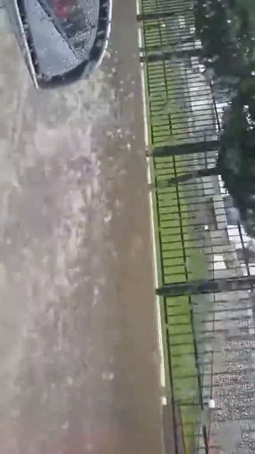 Астрахань. Катастрофа？Плавает. 25.06.17.