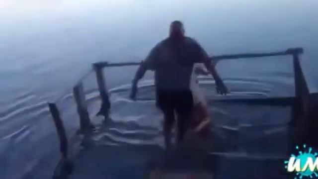 Приколы 2014 пьяные бабы это Ржач