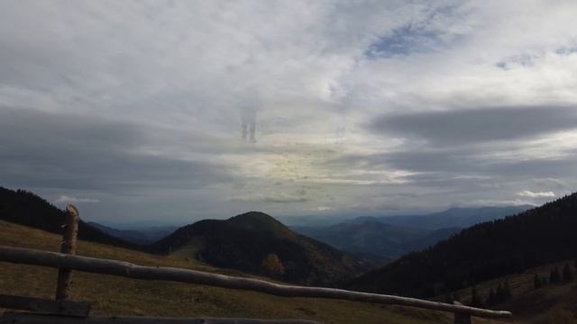 Гора Біла Кобила, корови та коні на полонинах - це все Карпатська пастораль. Відео для щастя ;)