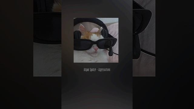 °Ицык Цыпер - Адреналин