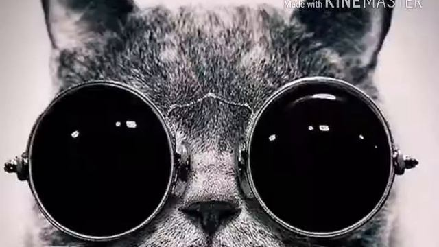 6649f5b9627986d95eac70a294ecd9e2