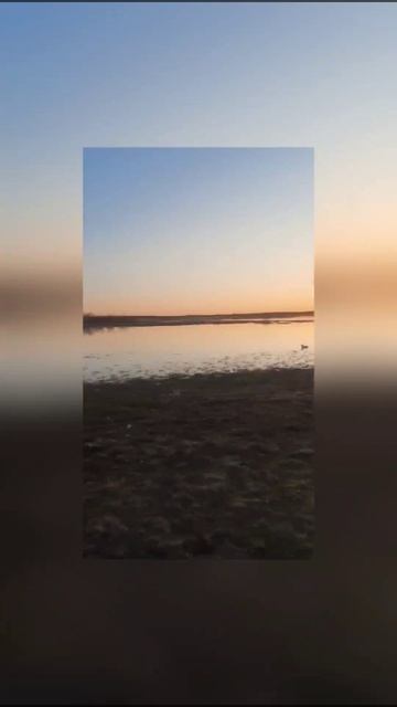охотхозяйство2.mp4
