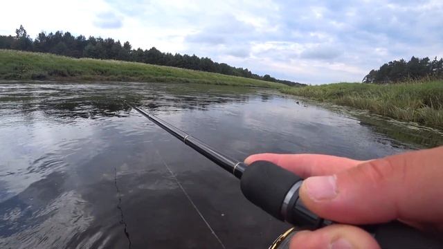 Жерех на волкер! Жара!