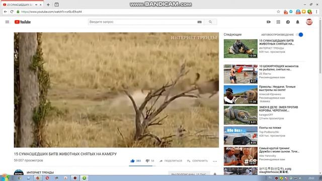 КАНАЛ  ИНТЕРНЕТ ТРЕНДЫ