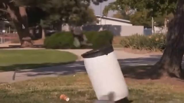 Самые прикольные коты и кошки