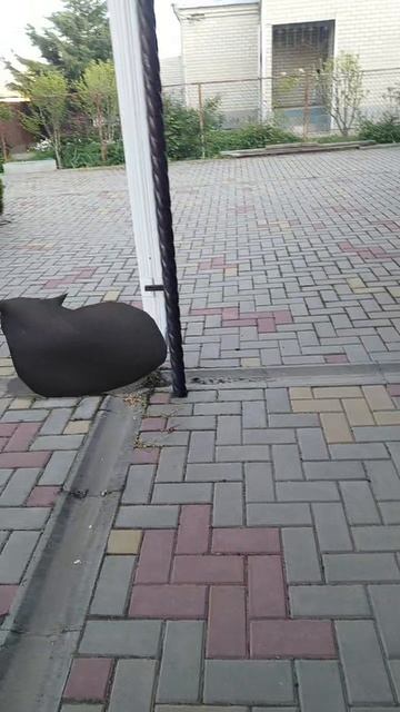 кот батончик 7 часть