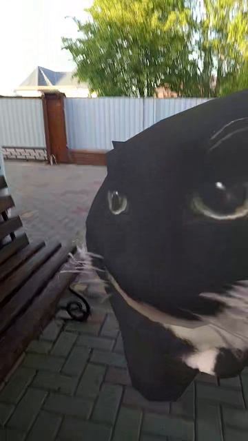 кот батончик 4 часть