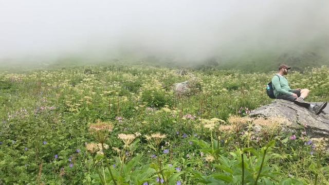 Valley Of Flowers, Trek, UTTARAKHAND, INDIA