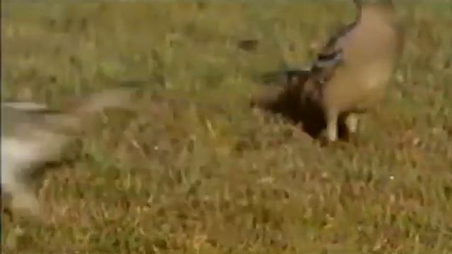 Ad4ac2f7a4b42f0d40272435f5e5cd1e