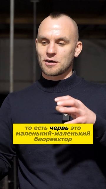 Настоящая любовь к природе и дождевым червям #органическоеудобрение #биогумус #вермиферма