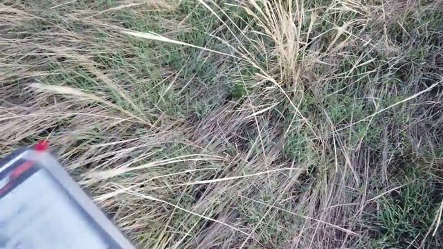 Копаем с китайским металлоискателями SkycruiserS63