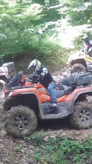 Бесстрашный