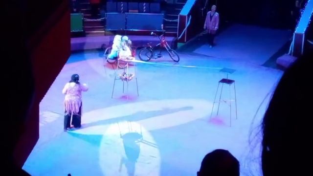 Діанка ЯГІДКА. Подрож в новорічний цирк.🙉🎪🤹♀️