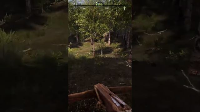 Коротко о игре