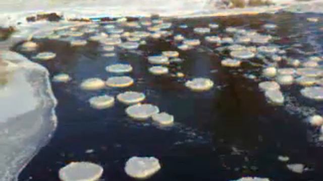 дружковка плотина