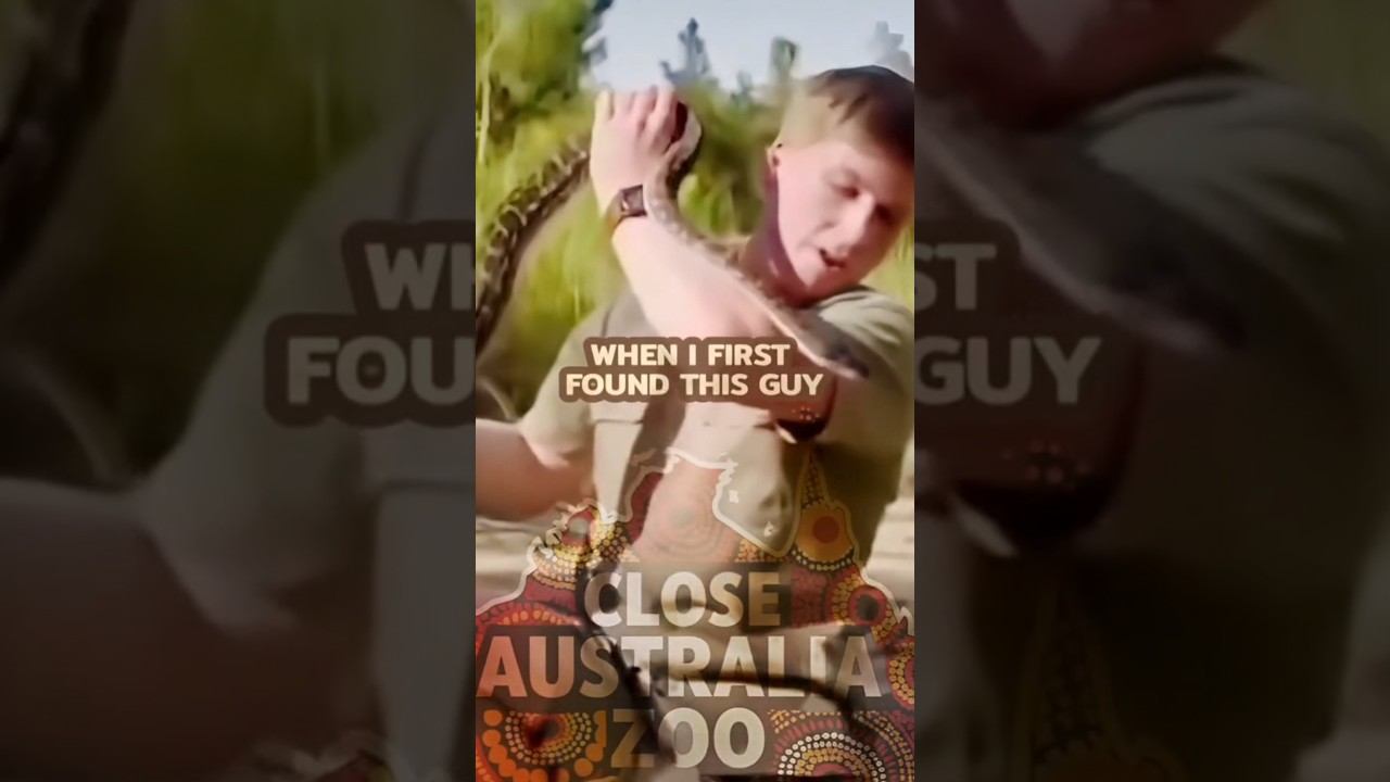 B3abbe0ac5cd4c9bc27a880f462a228f