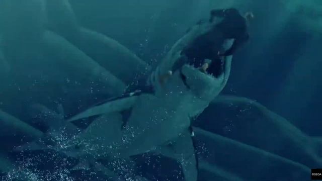 8cc26d6cc84221d6630bd9e7f5c4002c