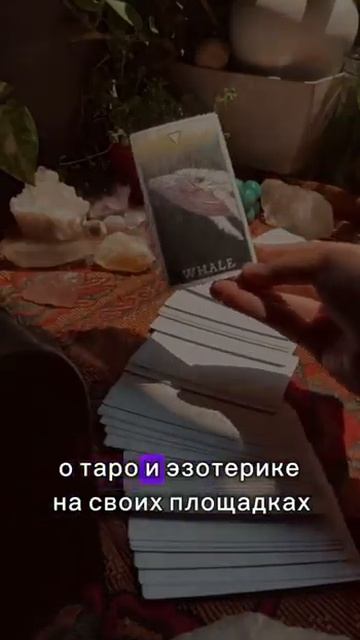 Можно ли верить тарологу Ольге Пуаро? Отзывы про точность раскладов