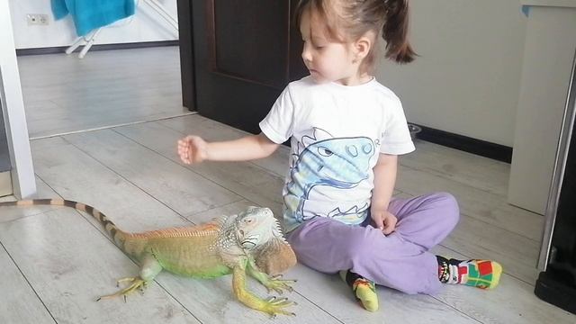 VID_20250421_093951.mp4