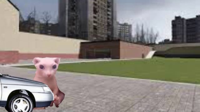 моя первая анимация в кап кут