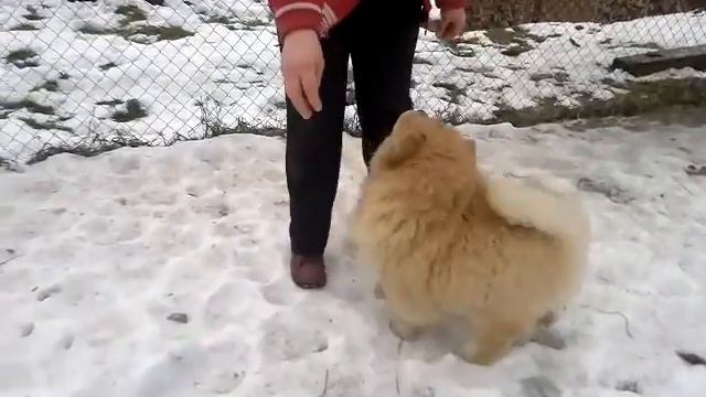 Гера 3,5 мес 002