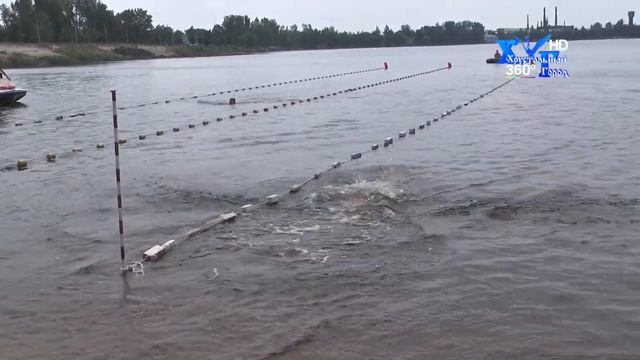 Чемпионат по плаванию, памяти погибших сотрудников полиции