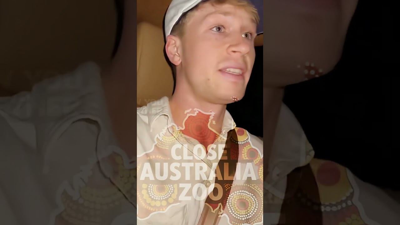 872de28c10e5c08c99393381224912c0