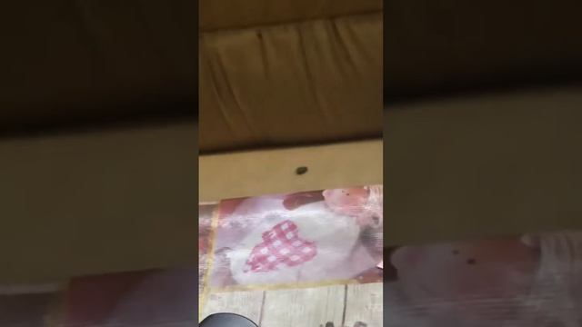 Брейк-данс клопа.mp4