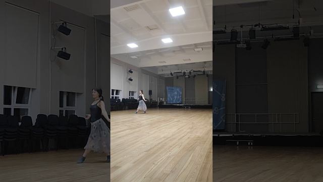 Адажио.Музыка Томазо Альбинони. Хореография и исполнение-Ольга Аршаница