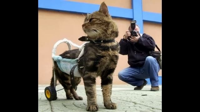 Интересные фотки