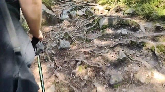 КАРПАТИ | ПОХІД НА СИНЯК З БУКОВЕЛЮ | Знайшли трохи грибів