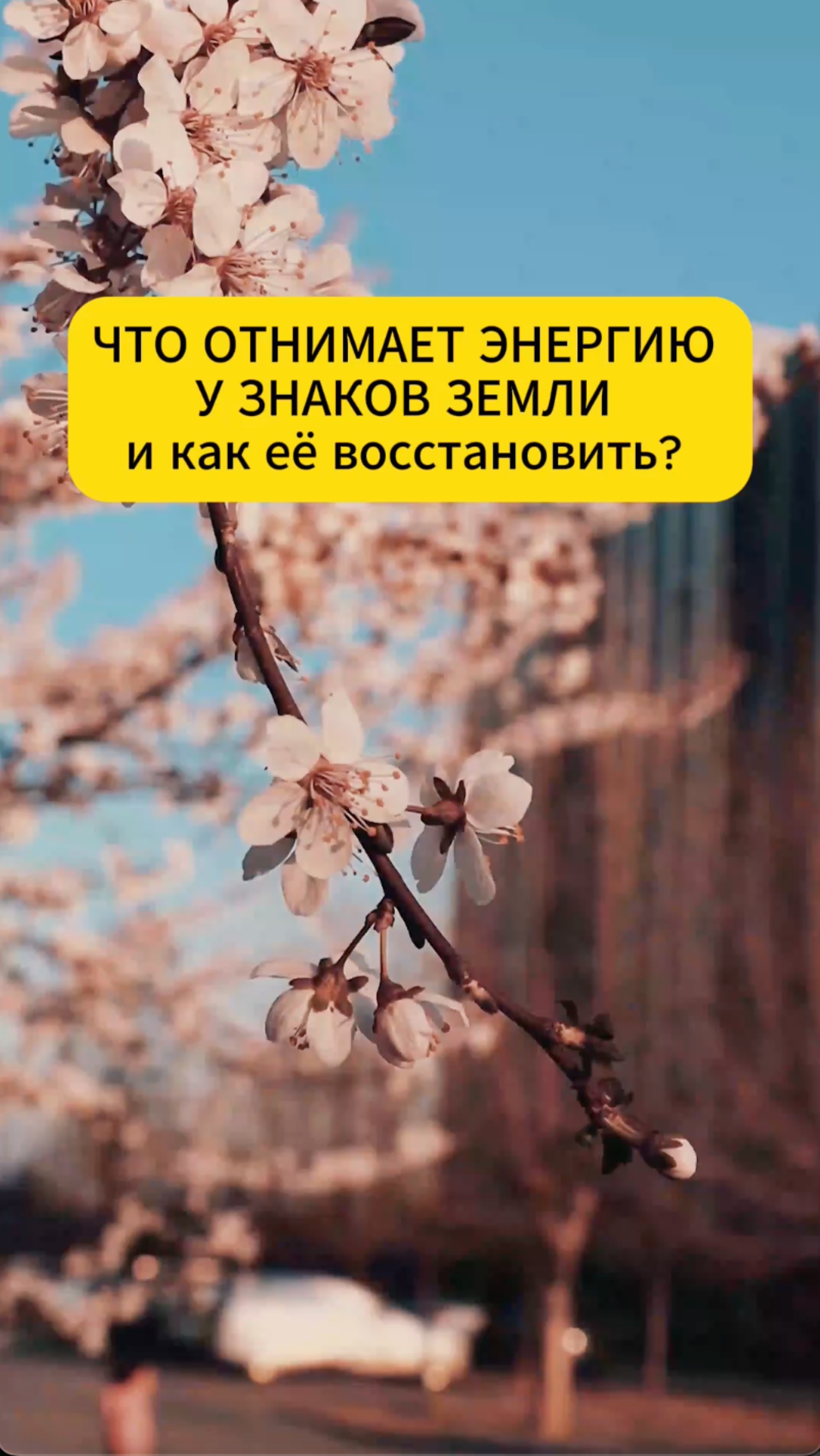 Что отнимает энергию у знаков Земли и как её восстановить? #астрология #знакизодиака #козерог #дева