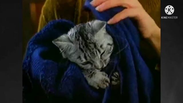 Фрагмент рекламного блока Канал-Б (22.01.2009)